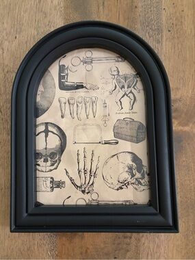 Goth Oddity Medical Oddity Halloween Framed Oddities & Curiosities Weird Stuff